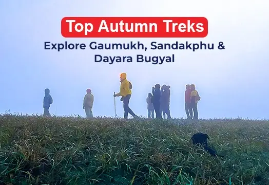 Top Autumn Treks: Explore Gaumukh, Sandakphu & Dayara Bugyal